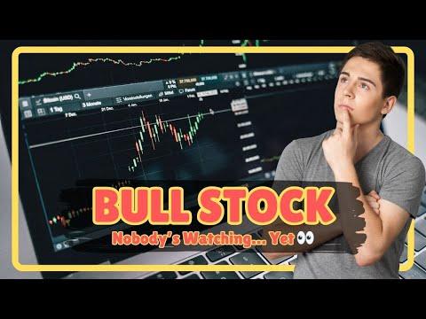 Why BULL Stock Could Be the Sleeper Fintech Hit of the Year