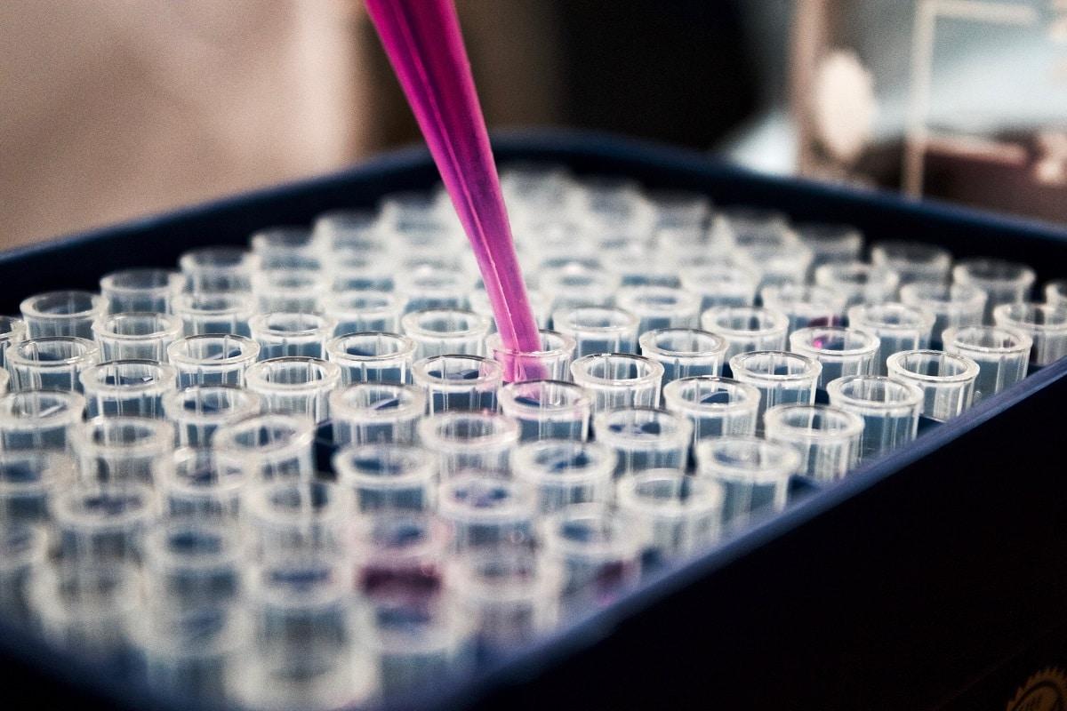 Adamis Pharmaceuticals Corp (ADMP) shares slide 14% as traders take profits - Stocks Telegraph