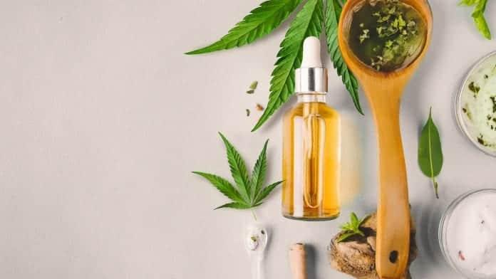 Aurora Cannabis Inc. (ACB) stock Bullish Amid Potential Federal Legalization Vote - Stocks Telegraph