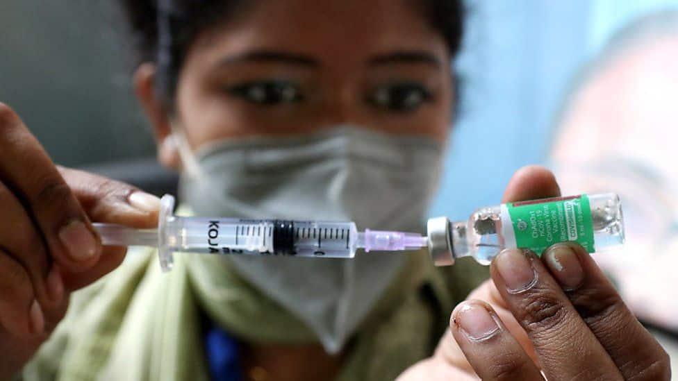 Blue Water Vaccines Inc. (BWV) Rebounds Premarket After a Stark Decline to All-Time-Low - Stocks Telegraph
