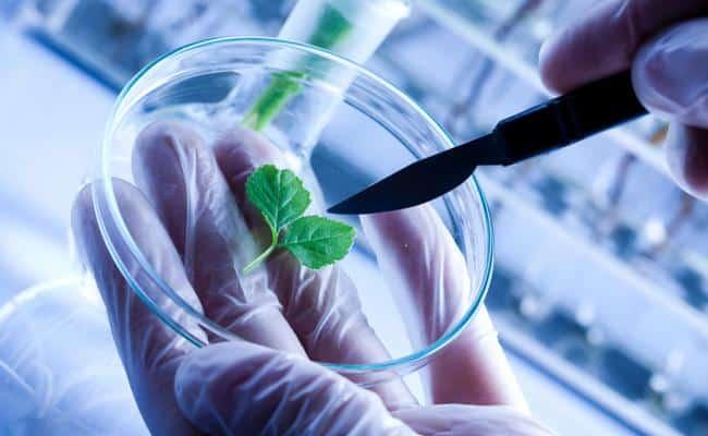 Ginkgo Bioworks Holdings Inc. (DNA) Advances Further After Hours on Fiscal 2021 Results - Stocks Telegraph