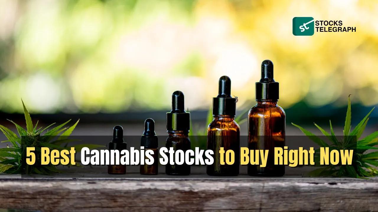 Best Cannabis Stocks to Buy Right Now - Stocks Telegraph