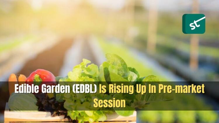 Edible Garden (EDBL) Is Rising Up In Pre-market Session